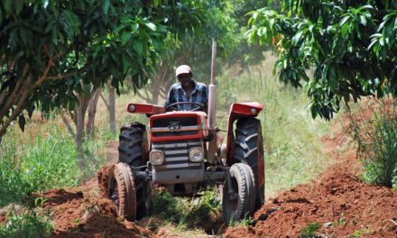 Fieragricola 2020: in Africa grosse chance per l’agromeccanica
