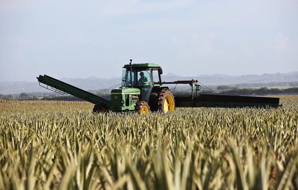 Tradus stila la classifica delle macchine agricole usate più richieste in Italia
