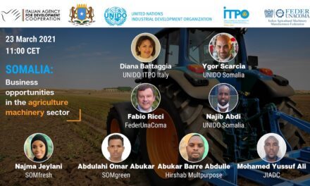 Somalia: di quali macchine agricole necessitano le piccole e medie imprese?