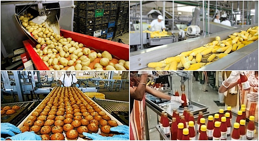 The Mega Food Park: partnership italo-indiana nel campo del “food processing”