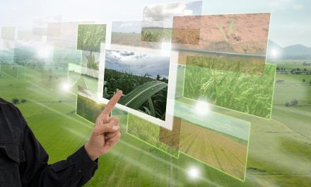 Agricolus e CIA Umbria: le imprese della regione verso la transizione digitale con Agriconnect