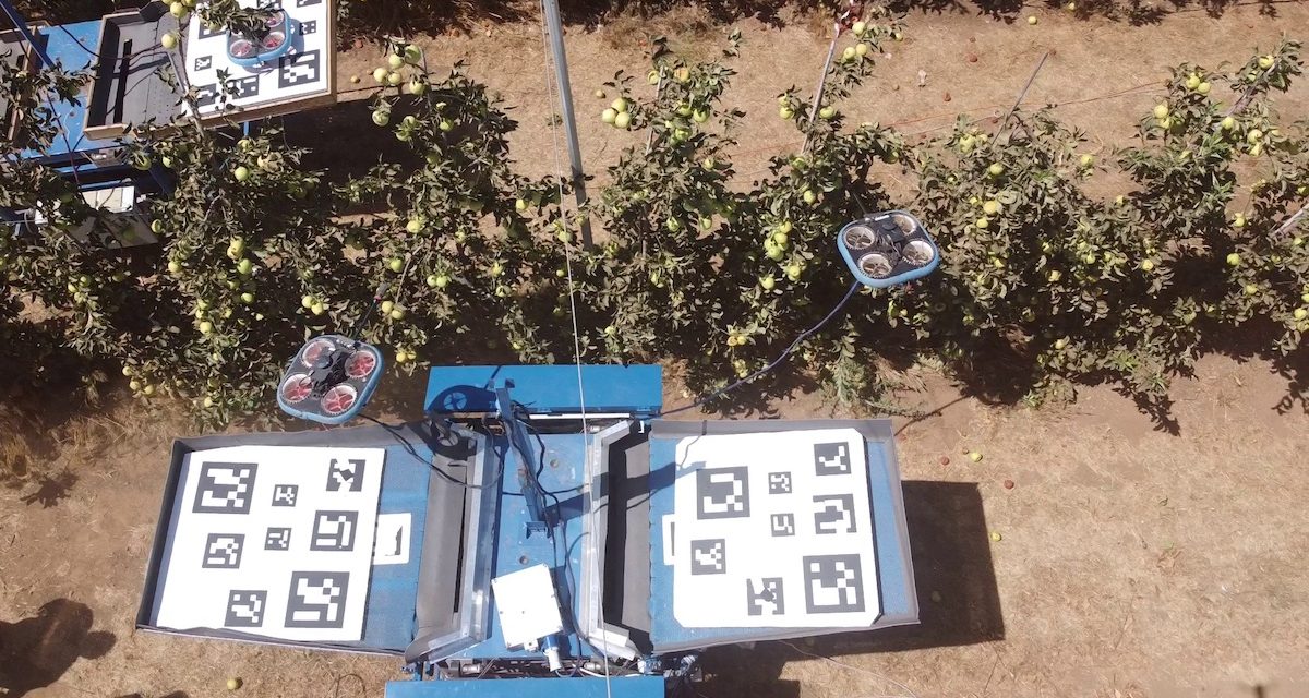 Kubota e Tevel: al sistema di raccolta automatica della frutta il premio DLG Agrifuture Concept Winner 2022