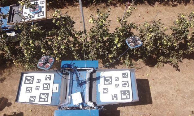 Kubota e Tevel: al sistema di raccolta automatica della frutta il premio DLG Agrifuture Concept Winner 2022