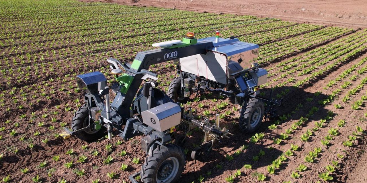 Naïo Technologies: Orio, il nuovo versatile robot per le colture in pieno campo