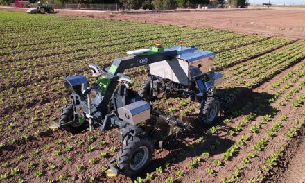 Naïo Technologies: Orio, il nuovo versatile robot per le colture in pieno campo