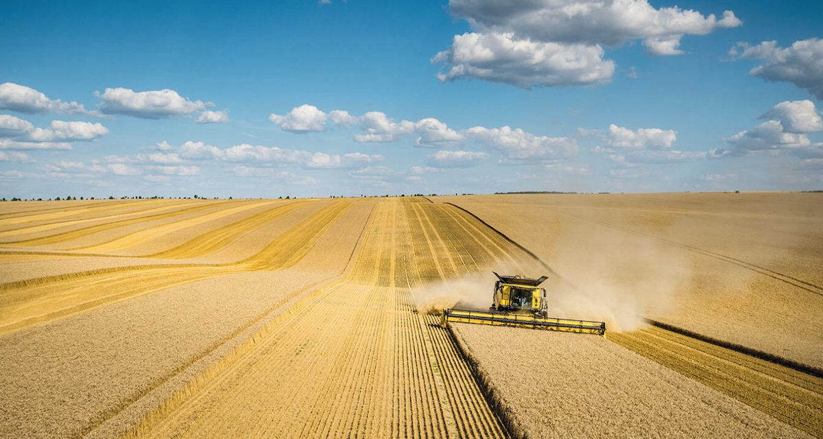 Autoapprovvigionamento: 75 milioni di quintali di cereali in più per le prossime semine, si può fare
