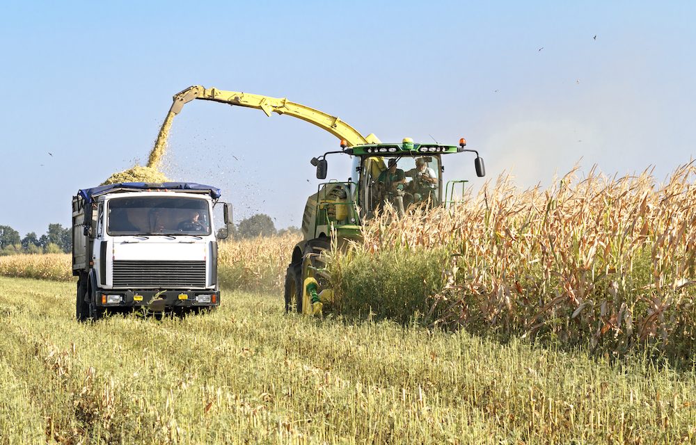 Ucraina, rischio di semine dimezzate se la guerra non si ferma