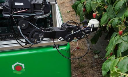 Fieldwork Robotics: ormai pronto per il mercato il robot per la raccolta dei lamponi