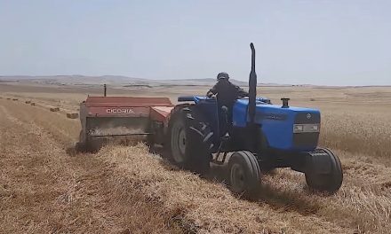 Macchine agricole “made in Italy”: dalla Tunisia una domanda in crescita