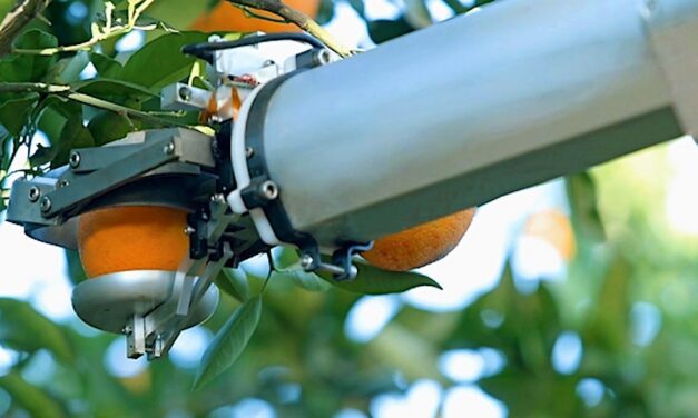 Nanovel: da Israele a World Fira 2023 il robot raccoglitore di agrumi