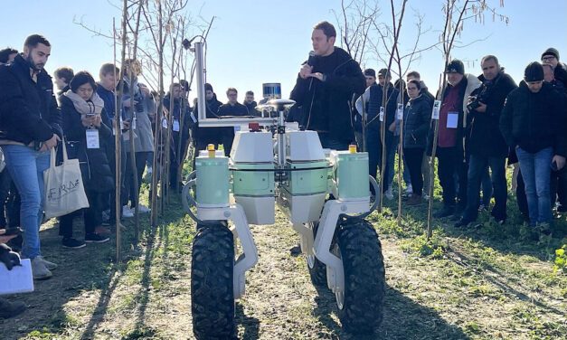 World FIRA 2023: i robot alla prova del campo convincono ed entusiasmano