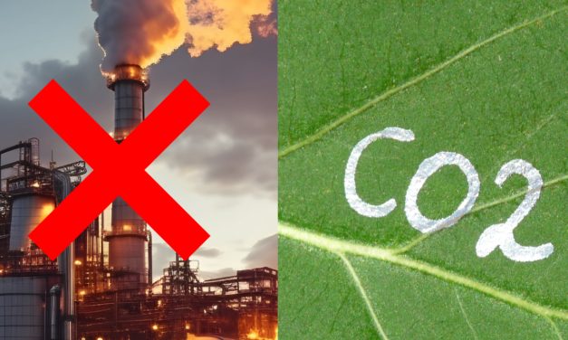 COP28: verso l’abbandono dei combustibili fossili