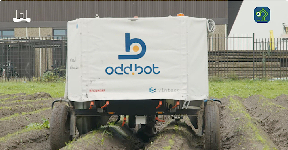 Maverick, il robot autonomo dell'olandese Odd.Bot