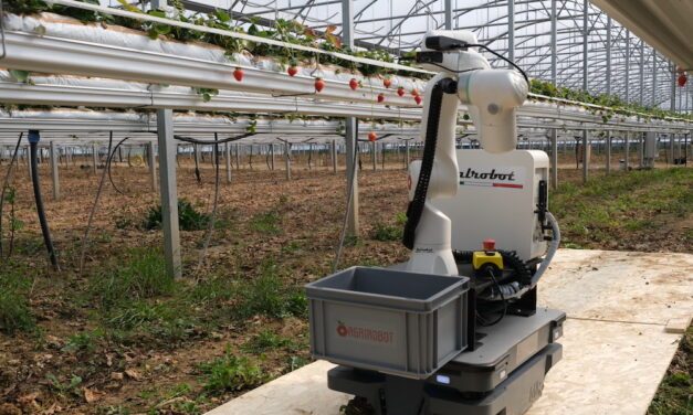 Agrirobot, il robot “made in Italy” per la raccolta delle fragole