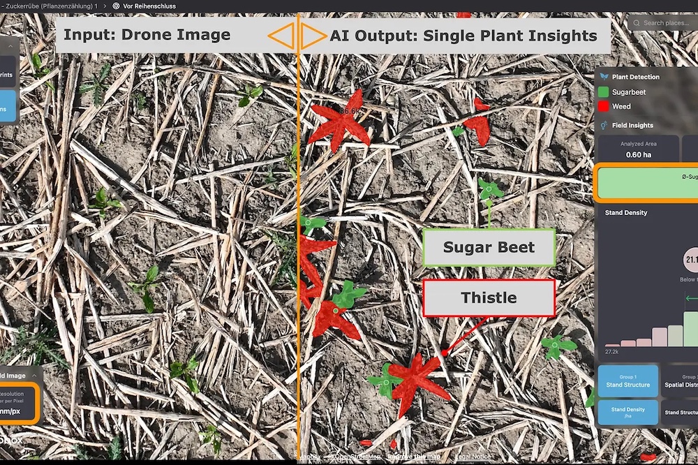La piattaforma Pheno-Inspect FarmAnalyzer™ trasforma le immagini ad alta risoluzione del drone in dati agronomici precisi.