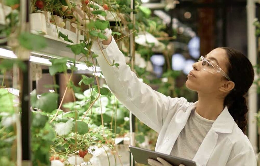AgriFoodTech nel Mezzogiorno: il Sud come laboratorio dell’innovazione agroalimentare