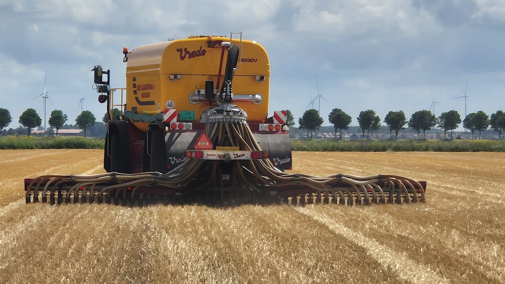 Vredo